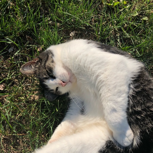 Meet your Posher, Claudia - Picture 1 of 1